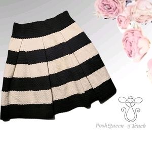 Striped Pleated Flare Skirt with Zipper Easter
